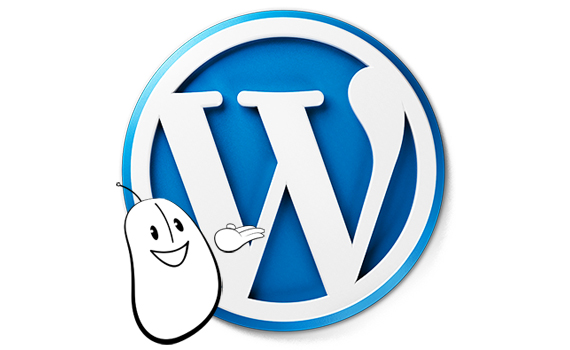 Agence Web Effect WordPress site internet