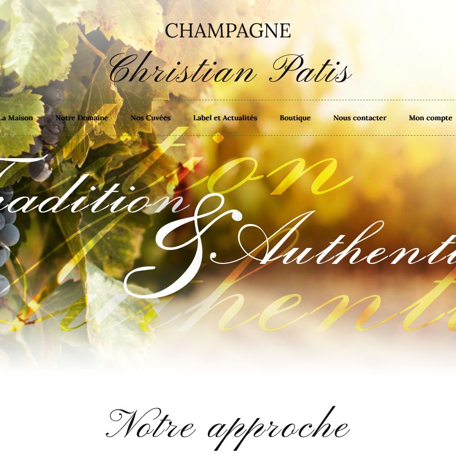 Agence Web Effect - Champagne Patis