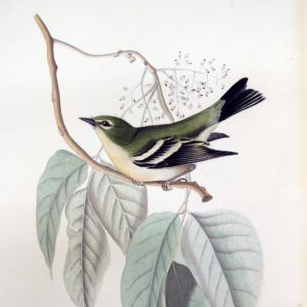 Agence Web Effect - Julie Fauré