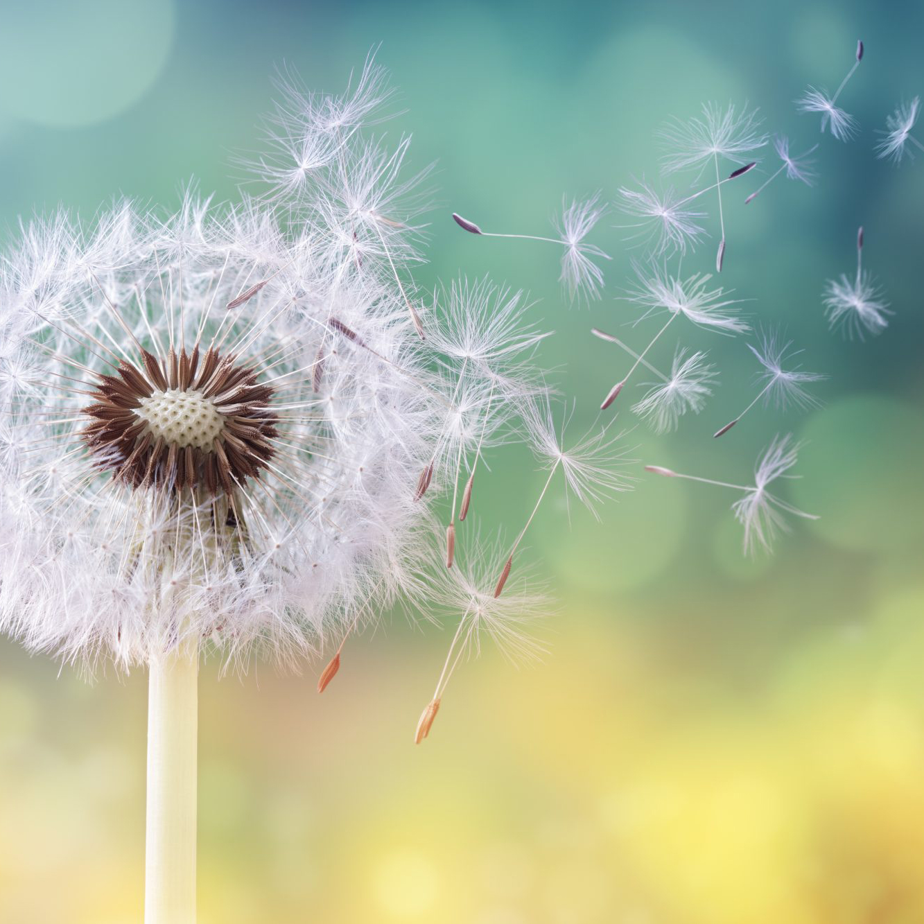 Agence Web Effect - Reflex bien etre